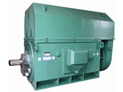 铁西Y系列6KV高压电机